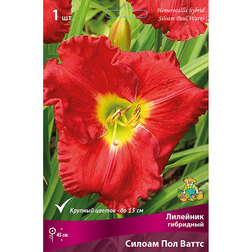 ������ ������ �������� ��������� ������ ��� �����   ����