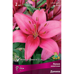 ������ ������ ����� ��������� ������, 2 ��.   ����