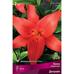 ������ ������ ����� ��������� ������� (2 ��.)   ����