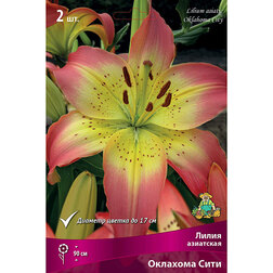 ������ ������ ����� ��������� �������� ���� (2 ��.)   ����