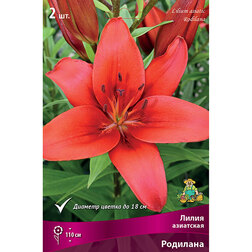 ������ ������ ����� ��������� �������� (2 ��.)   ����