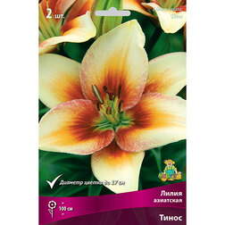 ������ ������ ����� ��������� ����� (2 ��.)   ����