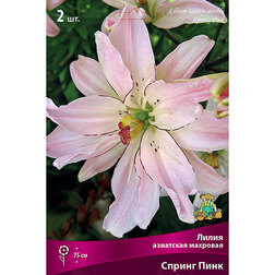 ������ ������ ����� ��������� ������ ���� (2 ��.)   ����