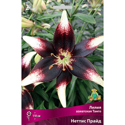 ������ ������ ����� ��������� ����� ������ ����� (2 ��.)   ����