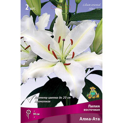 ������ ������ ����� ��������� ���� - ��� (2 ��.)   ����