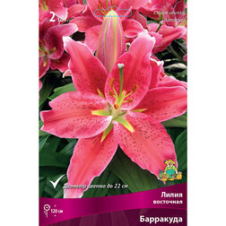 ������ ������ ����� ��������� ��������� (2 ��.)   ����