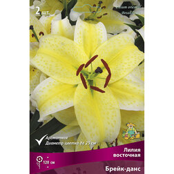 ������ ������ ����� ��������� �����-���� (2 ��.)   ����