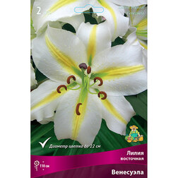 ������ ������ ����� ��������� ��������� (2 ��.)   ����