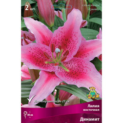 ������ ������ ����� ��������� ������� (2 ��.)   ����