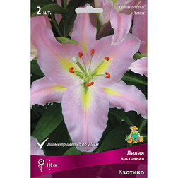 ������ ������ ����� ��������� ������� (2 ��.)   ����