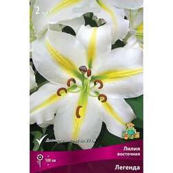 ������ ������ ����� ��������� ������� (2 ��.)   ����