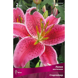 ������ ������ ����� ��������� ���������� (2 ��.   ����