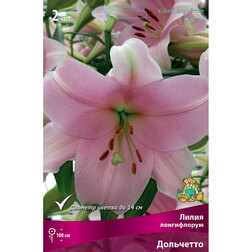 ������ ������ ����� ����������� ��������� (2 ��.)   ����