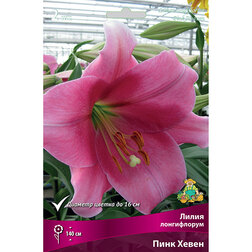 ������ ������ ����� ����������� ���� ����� (2 ��.)   ����