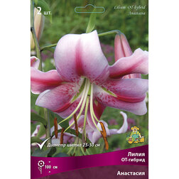 ������ ������ ����� ��-������ ��������� (2 ��.)   ����