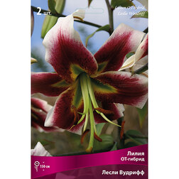 ������ ������ ����� ��-������ ����� ������� (2 ��.)   ����