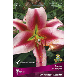 ������ ������ ����� ��-������ ������� ����� (2 ��.)   ����