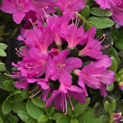 ������ ������ ������ �������� �����������   ����