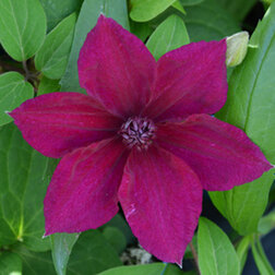 ������ ������ �������� ��������������� ������   ����