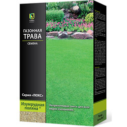 ������ ������ �������� ����� ���������� ������ (100 �)   ����