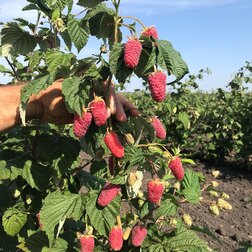 ������ ������ ������ ������������ ����������   ����