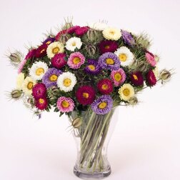 ������ ������ ����� ��� ���� (1��-1000��) ���������������� ������   ����