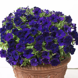 ������ ������ ������� ��������� ���� �������� ��� (��-1000�����)���������������� ������   ����