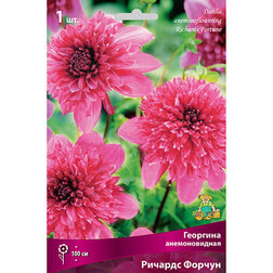 ������ ������ �������� ������������� ������� ������ (1 ��.)   ����