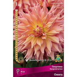 ������ ������ �������� ����������� �����   ����