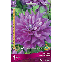 ������ ������ �������� ������������ ��������   ����