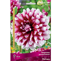 ������ ������ �������� ������������ ������ (1 ��.)   ����