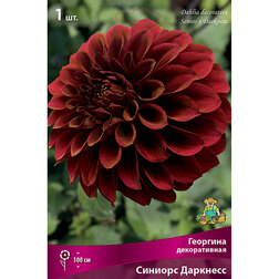 ������ ������ �������� ������������ ������� �������� (1 ��.)   ����