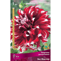 ������ ������ �������� ������������ ��� ������   ����