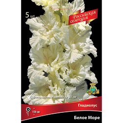 ������ ������ ��������� ����� ���� (5 ��.)   ����