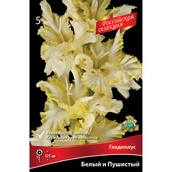 ������ ������ ��������� ����� � ��������   ����