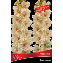 ������ ������ ��������� ��������� (5 ��.)   ����