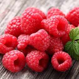 ������ ������ ������-���������� ������ (������ � ��������)   ����