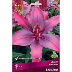 ������ ������ ����� ��������� ���� ���� (2 ��.)   ����