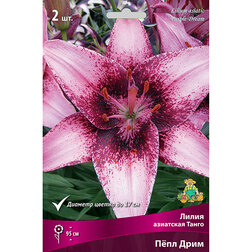 ������ ������ ����� ��������� ����� ϸ�� ���� (2 ��.)   ����