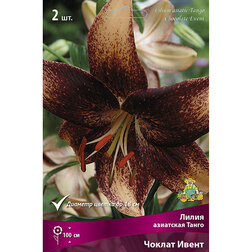 ������ ������ ����� ��������� ����� ������ ����� (2 ��.)   ����