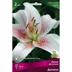 ������ ������ ����� ��������� ������� (2 ��.)   ����