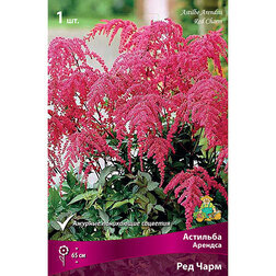 ������ ������ �������� ������� ��� ����   ����