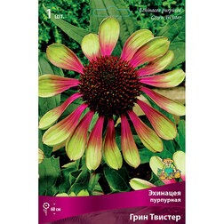 ������ ������ �������� ��������� ���� �������   ����