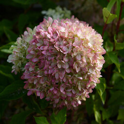 ������ ������ ��������� ����������� ��������� ���������   ����