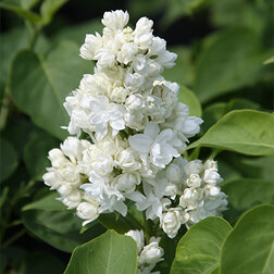 ������ ������ ������ ������������ �����   ����