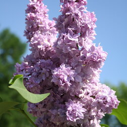 ������ ������ ������ ������������ ��������� �����������   ����