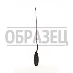 ������ ������ ������ ���������� �������   ����