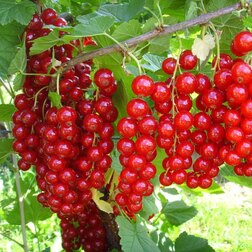 ������ ������ ��������� ������� ������� ��� ����   ����