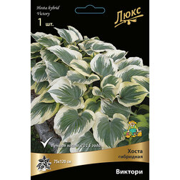 ������ ������ ����� ��������� �������*   ����