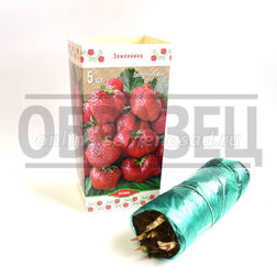 ������ ������ ��������� ������� ������� (5 ��)   ����